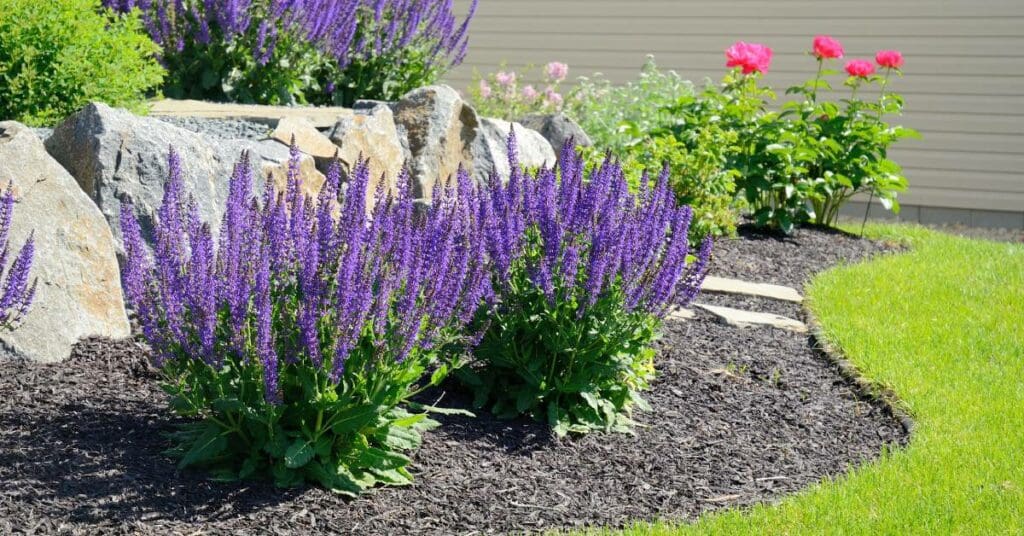 A rain garden featuring native plants and a rock border, designed to manage stormwater runoff in a residential yard.